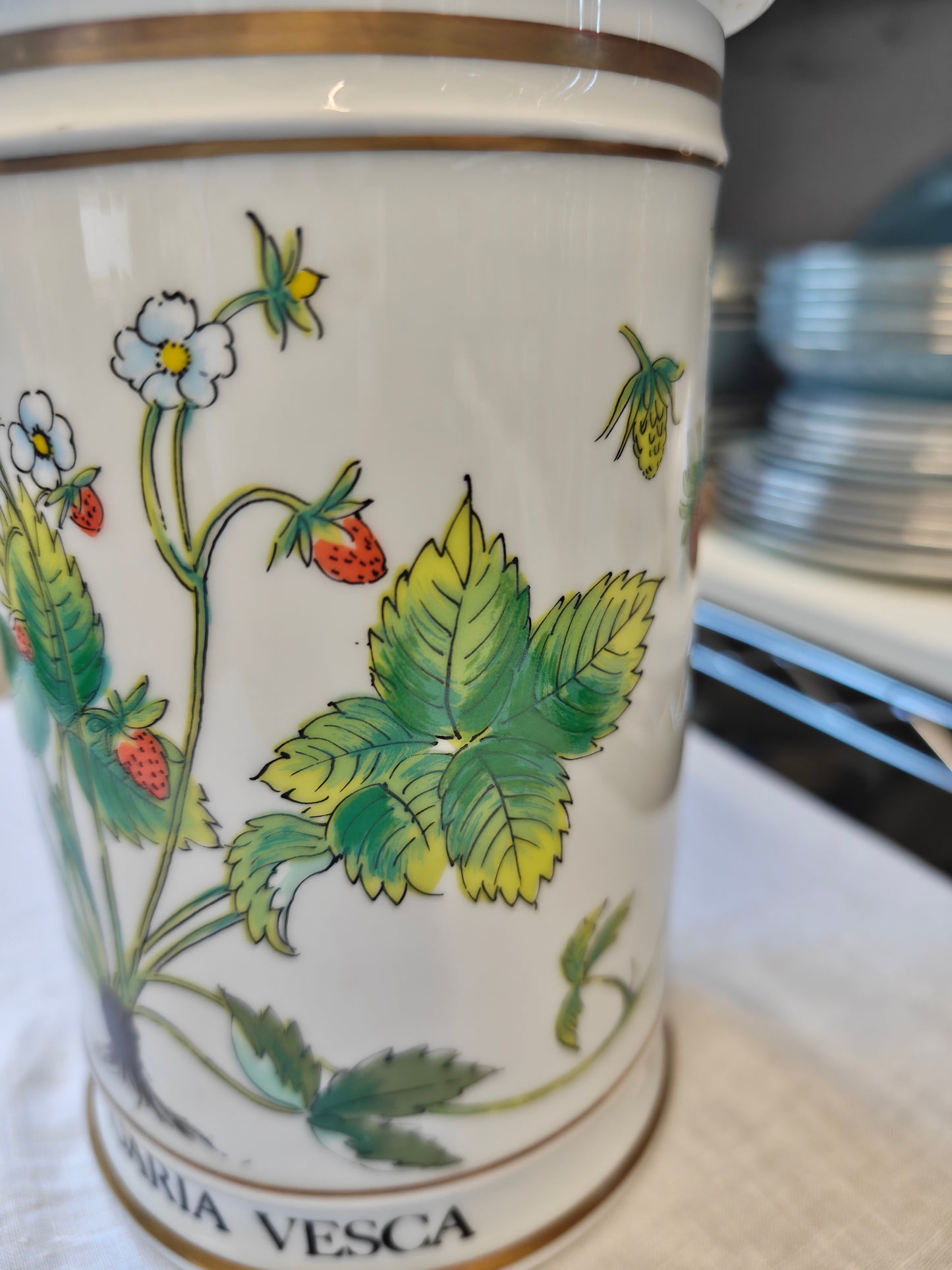 Limoges Porcelain Botanical Apothecary Jars Set Of 2