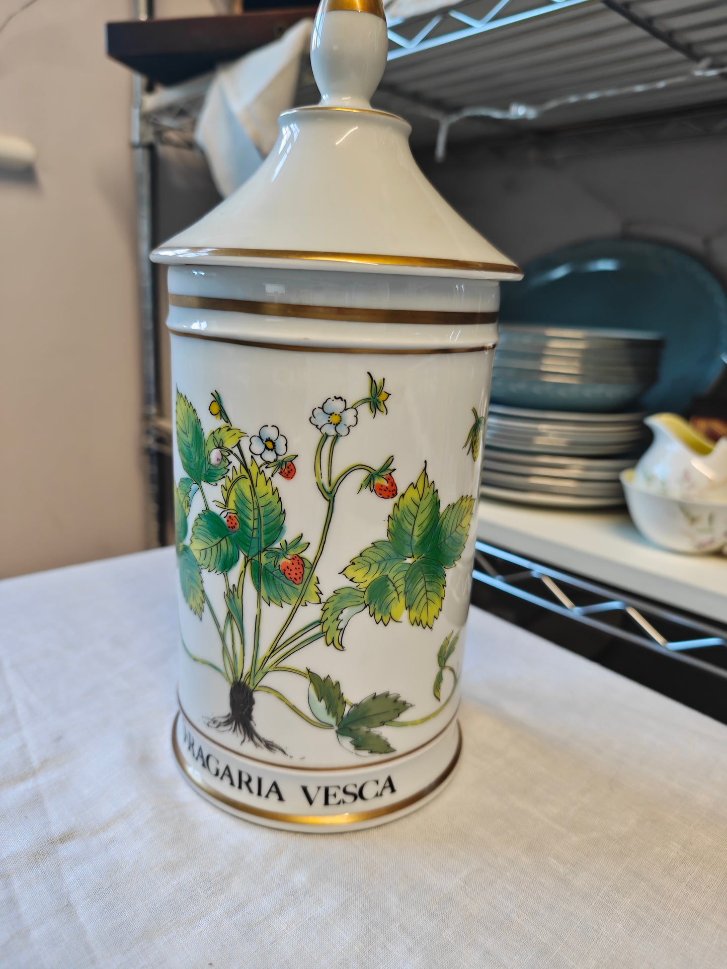 Limoges Porcelain Botanical Apothecary Jars Set Of 2