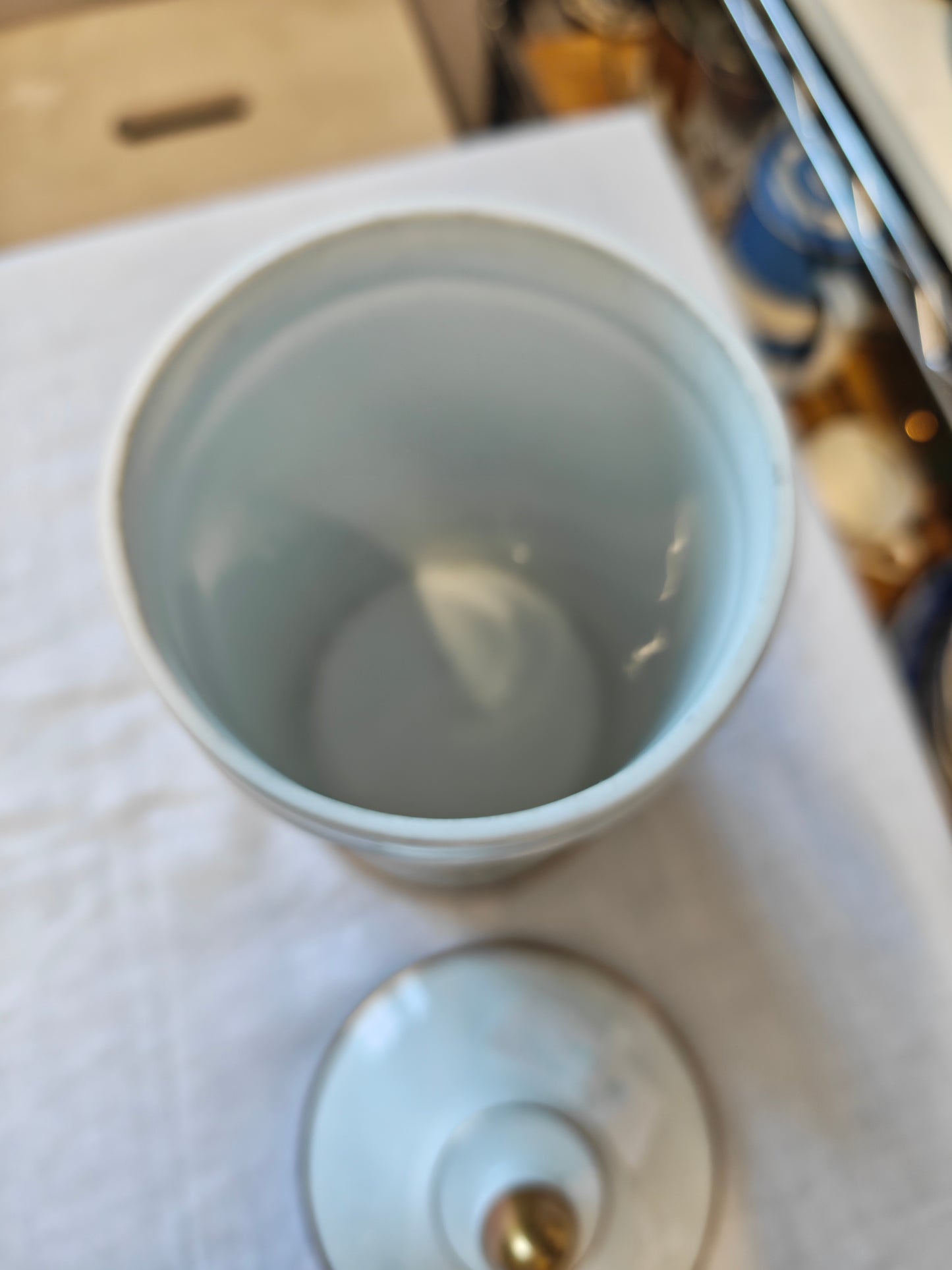 Limoges Porcelain Botanical Apothecary Jars Set Of 2