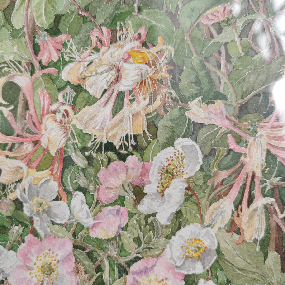 Kerry art work