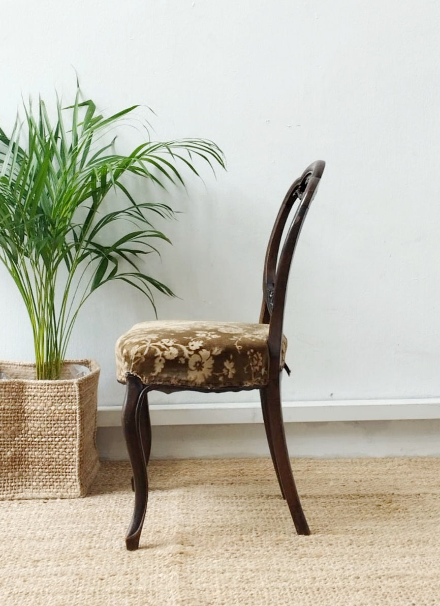 Antique Victorian  Balloon chair in Mahogany wood