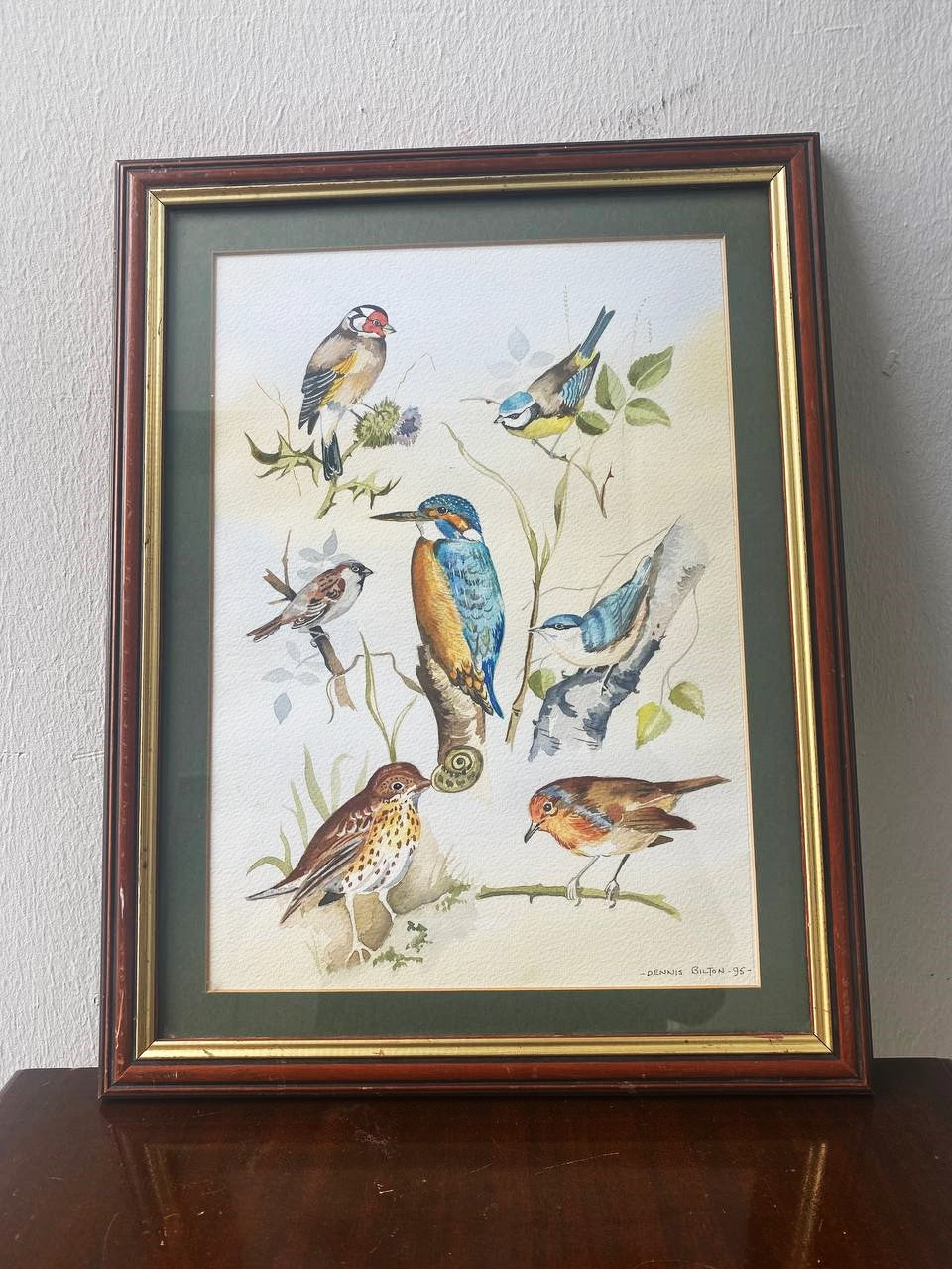 Vintage Watercolour Bird illustration by Dennis Bilton 95