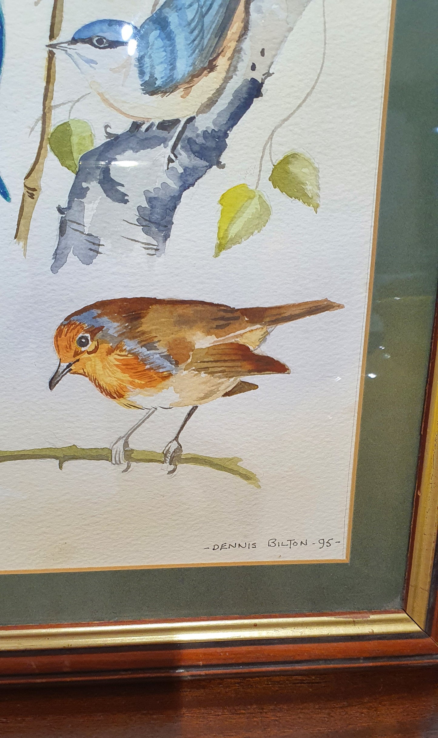 Vintage Watercolour Birds illustration by Dennis Bilton 95