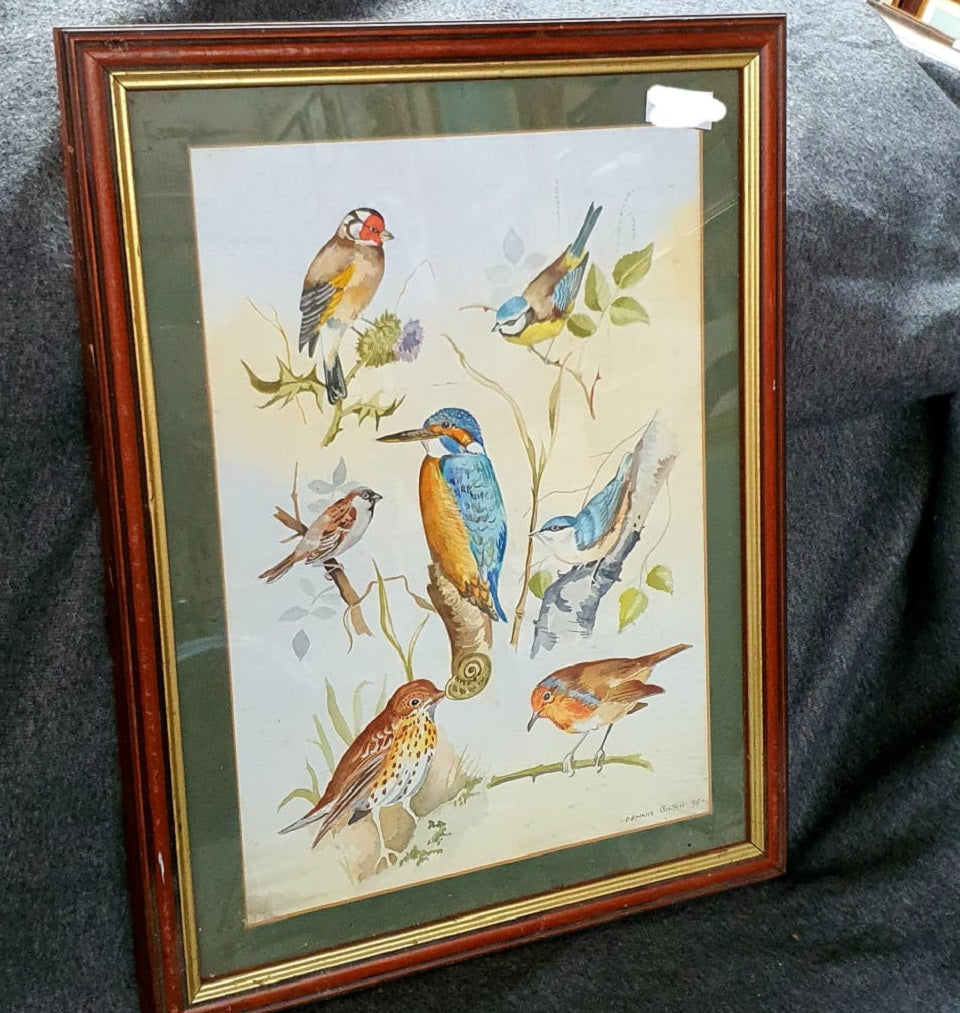 Excellent Vintage bird illustration watercolour.